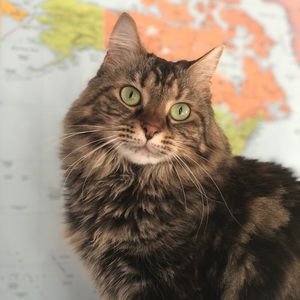 Meet your Posher, Rachel